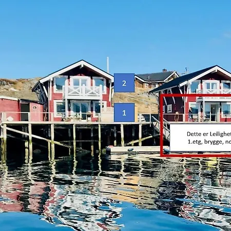 Northcape Nature Rorbuer - 3 - Dock North 펜션 Gjesvær